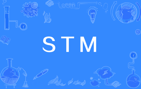 STM（专用传输模块）