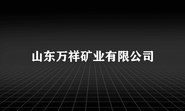 山东万祥矿业有限公司