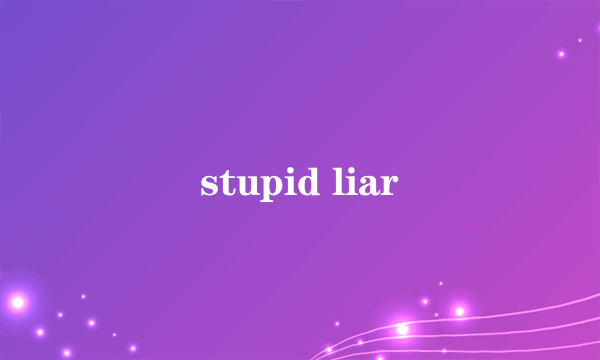 stupid liar