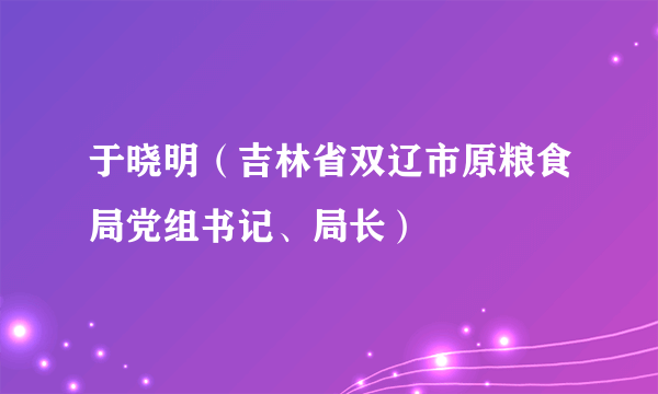 于晓明（吉林省双辽市原粮食局党组书记、局长）