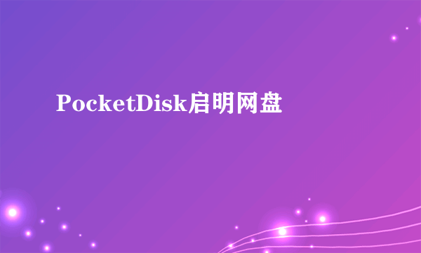 PocketDisk启明网盘