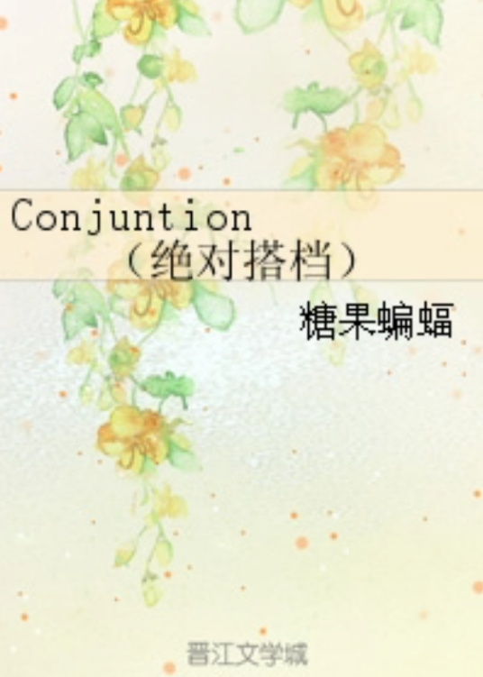 Conjuntion（绝对搭档）