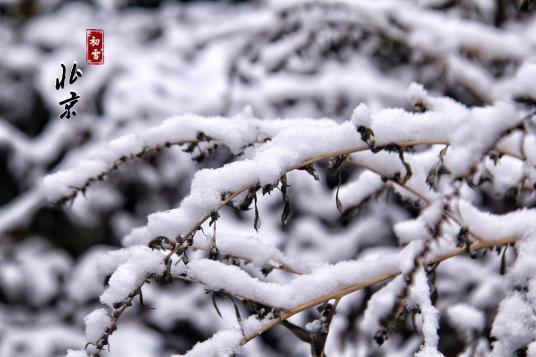 初雪（自然现象）