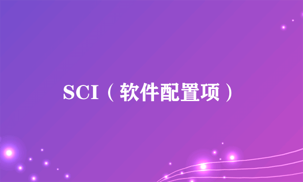 SCI（软件配置项）