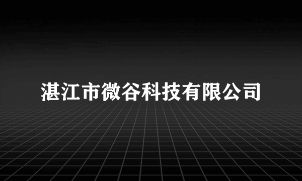 湛江市微谷科技有限公司