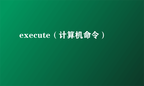 execute（计算机命令）