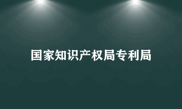 国家知识产权局专利局