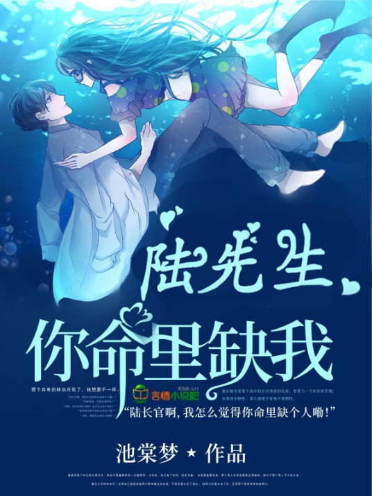 陆先生你命里缺我（池棠梦创作的网络小说）