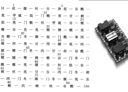 PTH（通孔直插式元件）