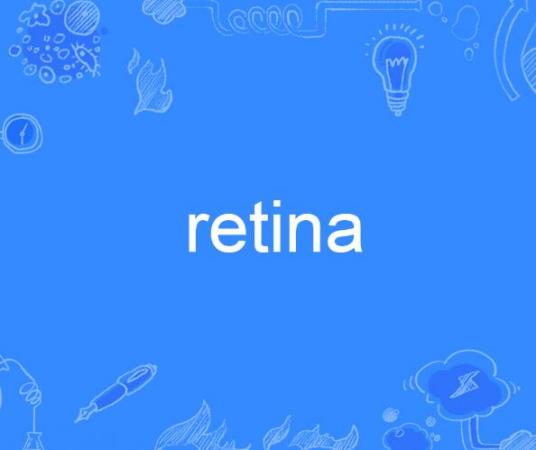 Retina（英语单词）