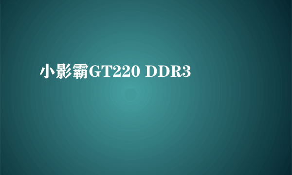 小影霸GT220 DDR3