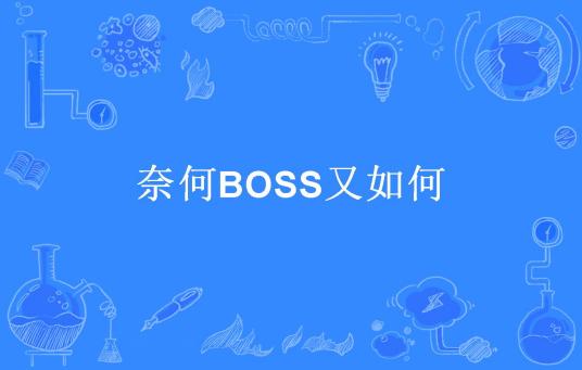 奈何BOSS又如何（纯风一度所著小说）