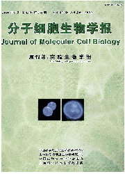 分子细胞生物学报