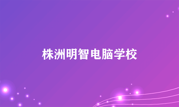 株洲明智电脑学校