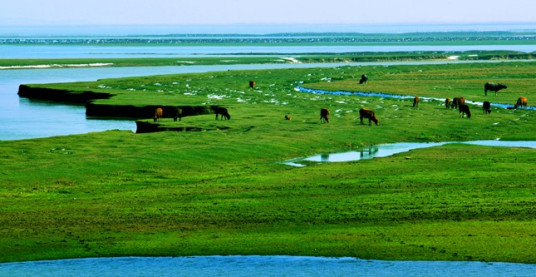 鄱阳湖生态湿地