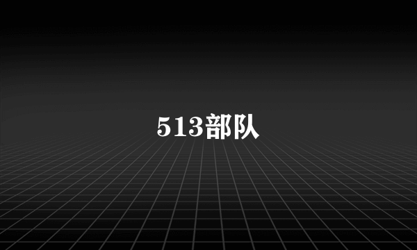 513部队