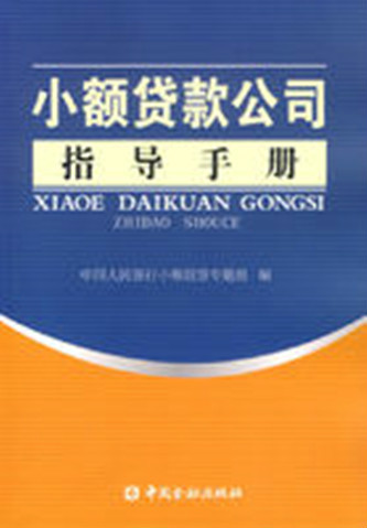 小额贷款公司（2006年中国金融出版社出版的图书）