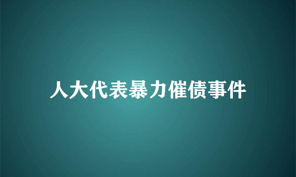 人大代表暴力催债事件