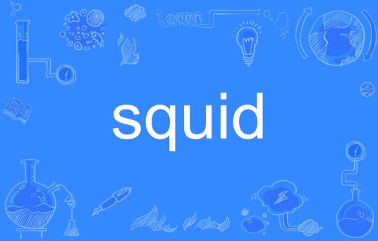 squid（英文单词）