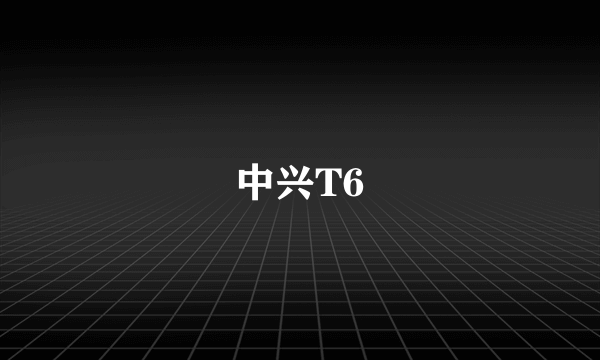 中兴T6