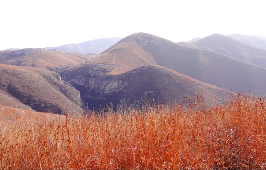 北京平谷青龙山旅游区