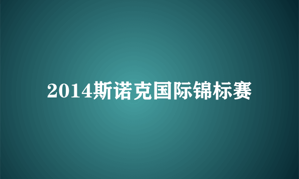 2014斯诺克国际锦标赛