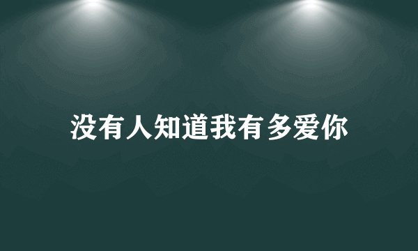 没有人知道我有多爱你