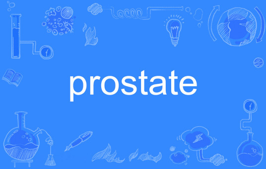 prostate