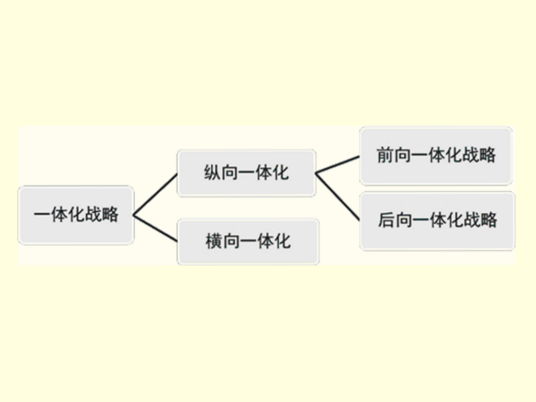 一体化战略