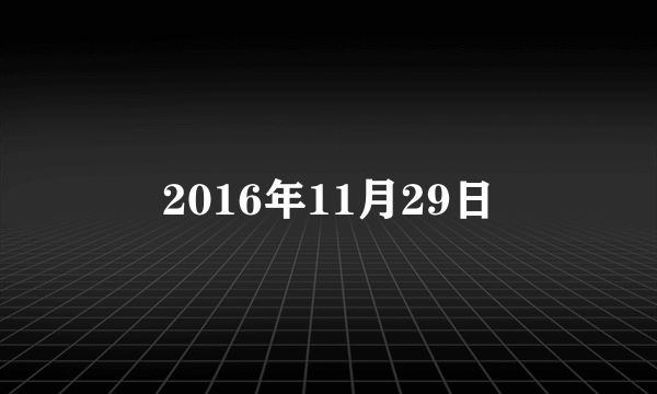 2016年11月29日