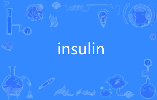 insulin（英语单词）