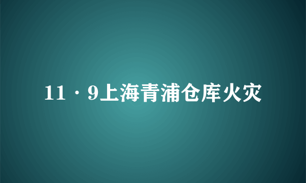 11·9上海青浦仓库火灾