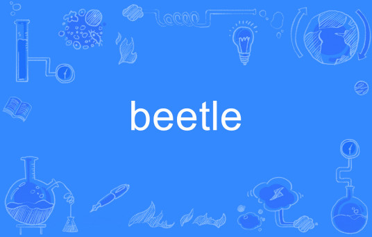 beetle（英语单词）