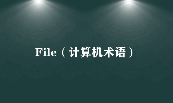 File（计算机术语）