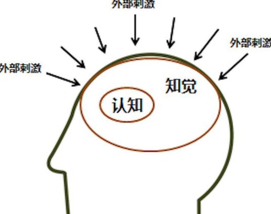 认知心理学（具有自由意志特征的认知模型）