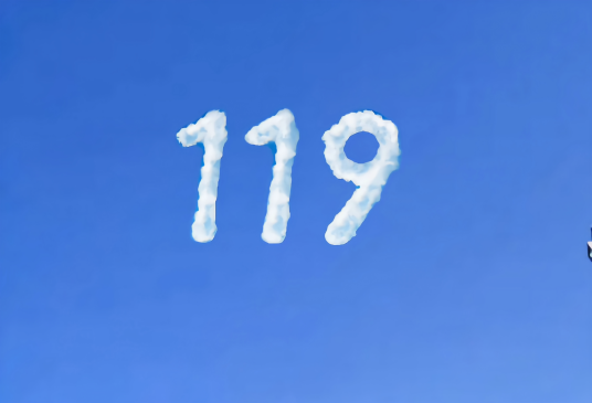 119（自然数之一）