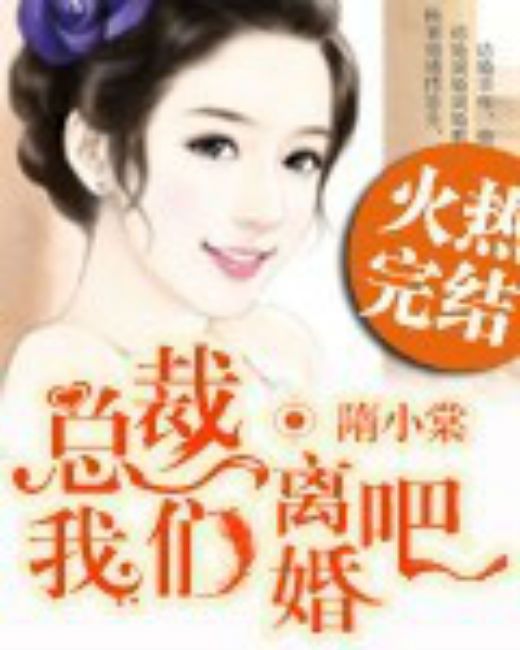 总裁，我们离婚吧（隋小棠创作的网络小说）