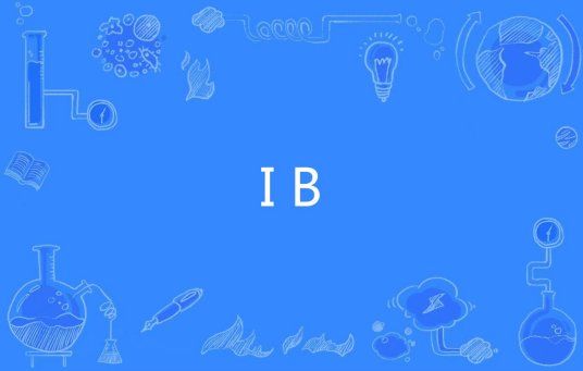 IB（网络用语）