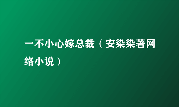 一不小心嫁总裁（安染染著网络小说）