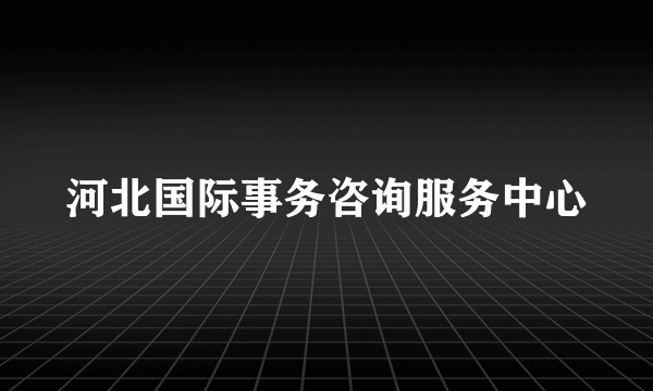 河北国际事务咨询服务中心