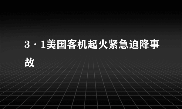 3·1美国客机起火紧急迫降事故