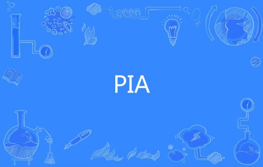 PIA（网络用语）