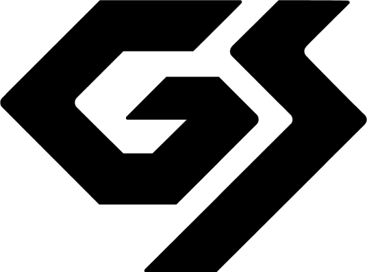 GS（GS定义）