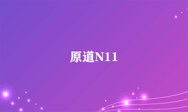 原道N11