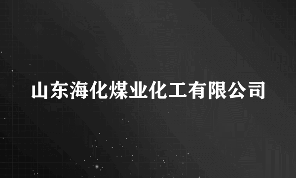 山东海化煤业化工有限公司