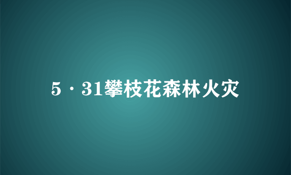 5·31攀枝花森林火灾