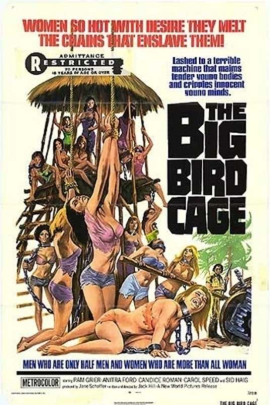 The Big Bird Cage