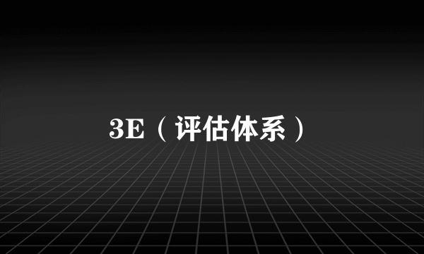 3E（评估体系）