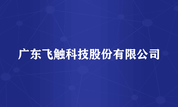 广东飞触科技股份有限公司