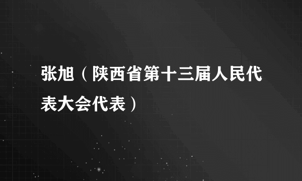 张旭（陕西省第十三届人民代表大会代表）